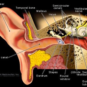 Massage For Tinnitus - Best Cure For Tinnitus-Cure For Tinnitus Review
